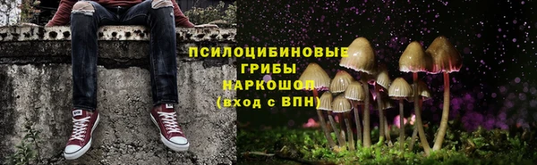 стаф Алексин