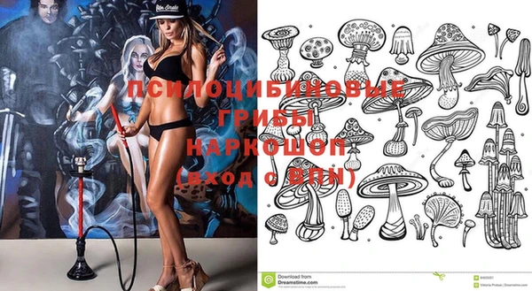 прущий лед Абаза